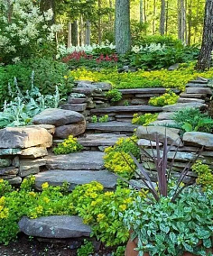 畢業(yè)設(shè)計(jì) 園林設(shè)計(jì)——傳統(tǒng)與現(xiàn)代的交融